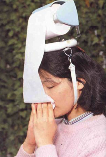 Un-Useless Japanese Inventions